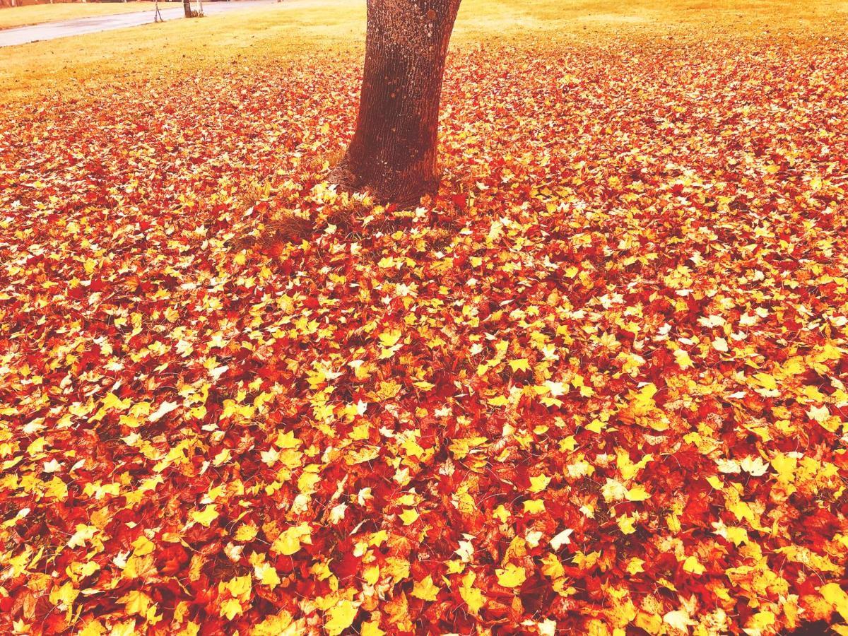 Вилла Appi Life Is Beautiful Hachimantai  Экстерьер фото